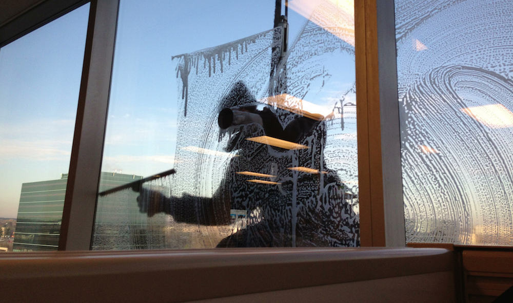 Pro Window Washer