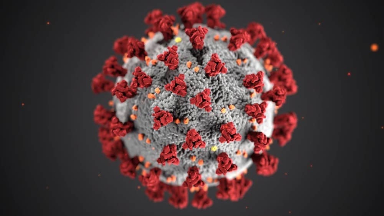 Coronavirus sanitation blog
