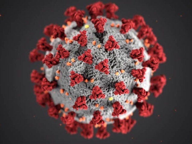 Coronavirus sanitation blog