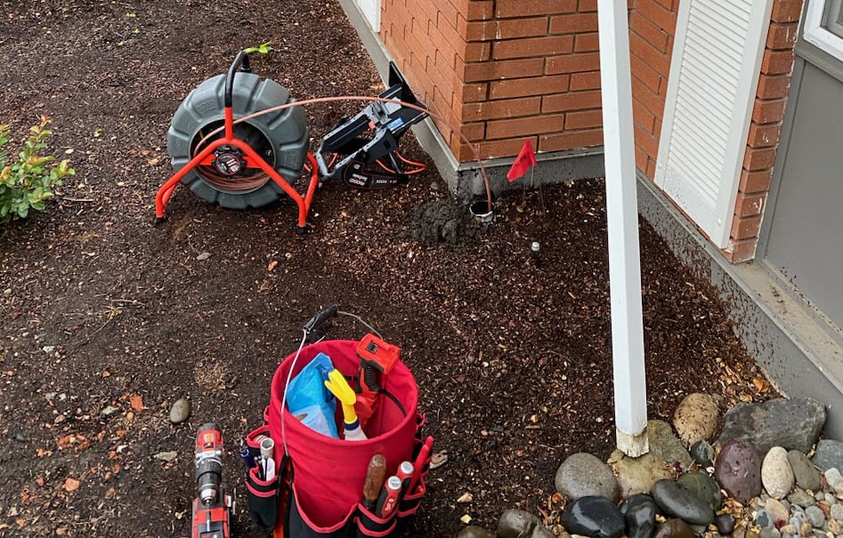 Drain cleaning and inspection