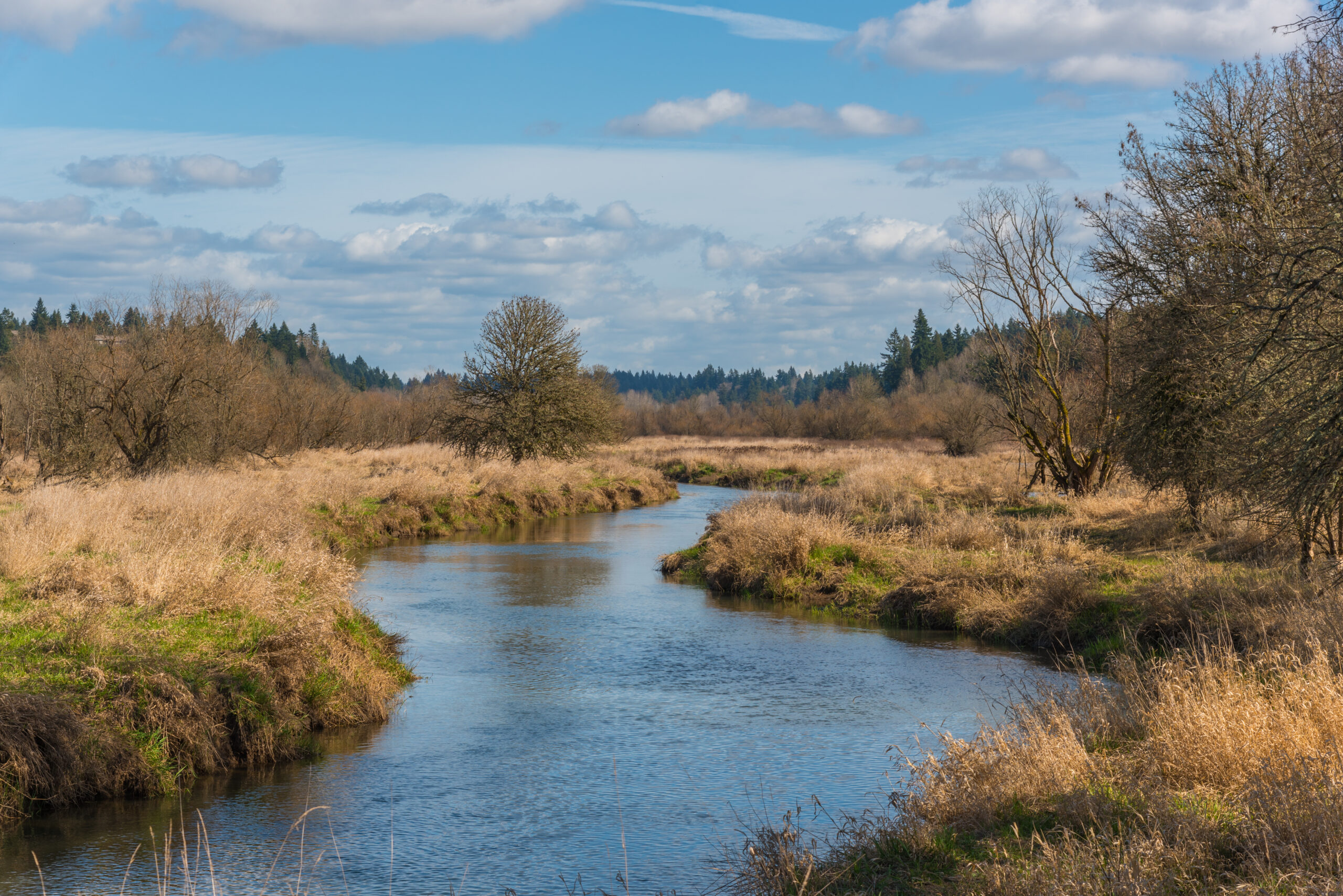 Salmon Creek Cleaning and Janitorial Services