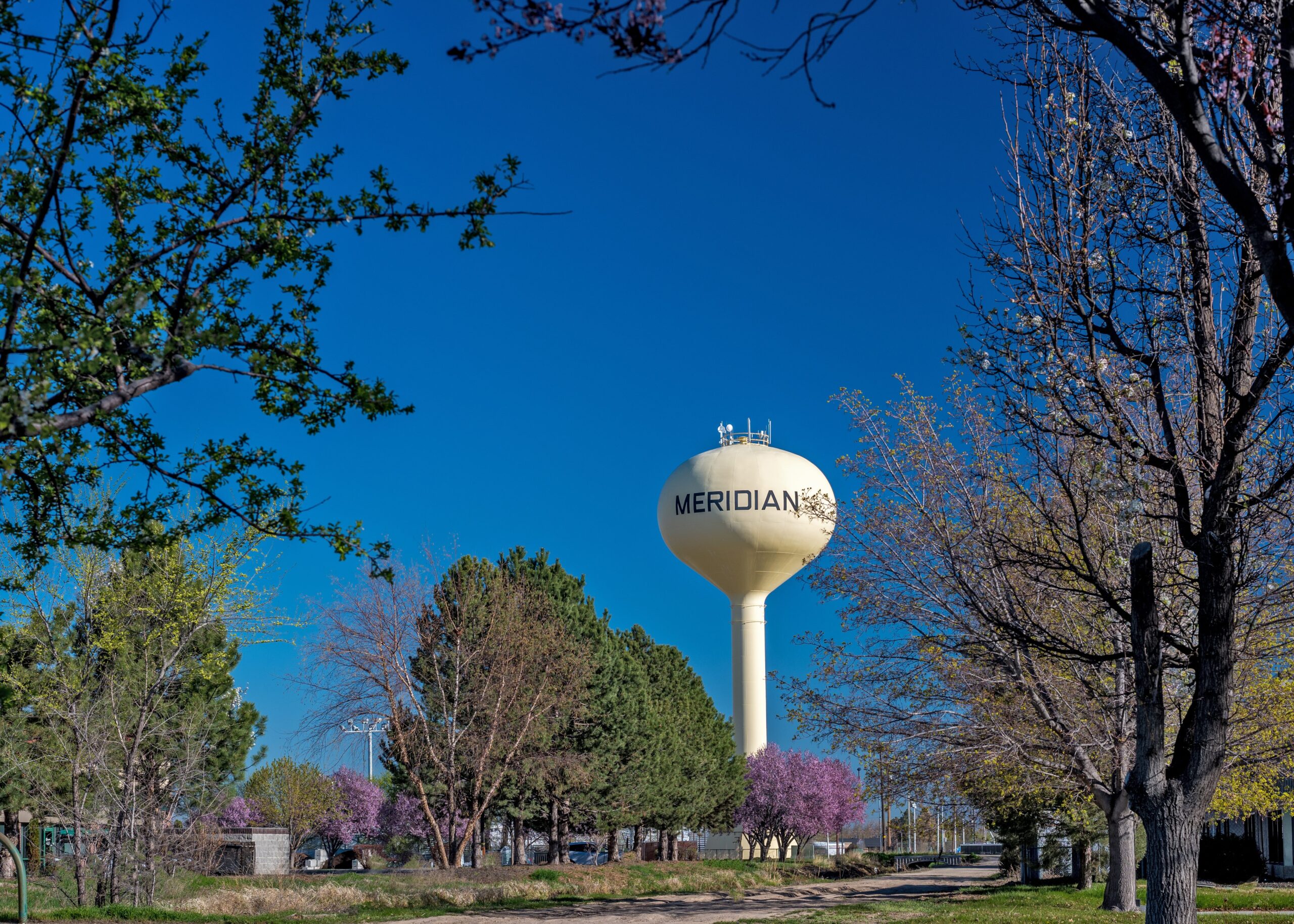 Meridian Cleaning and Janitorial Services