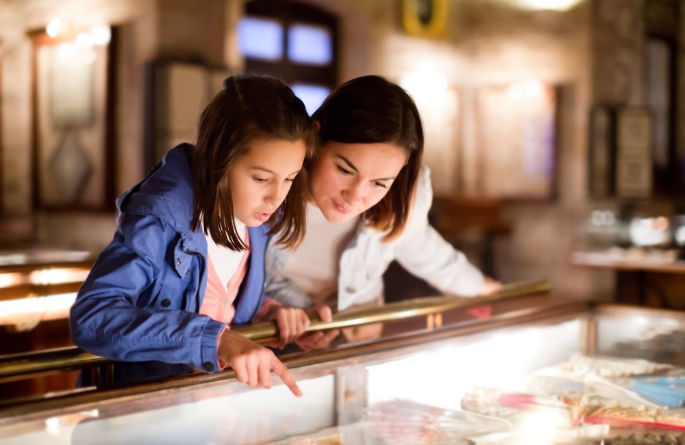 Museum Cleaning Services